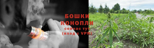 ГАЛЛЮЦИНОГЕННЫЕ ГРИБЫ Верея