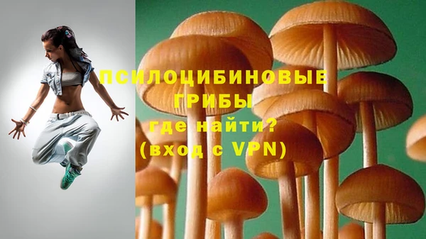 мяу мяу кристалл Бородино