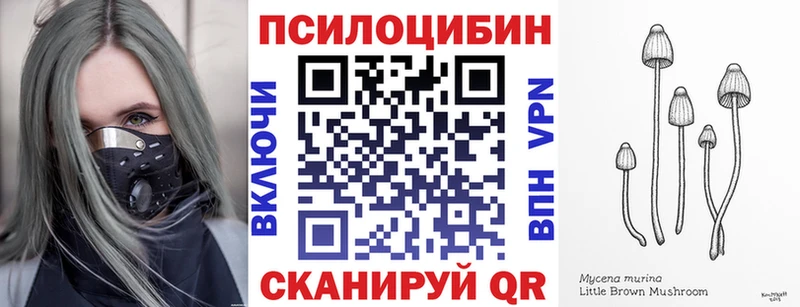 Купить где  Междуреченск  Галлюциногенные грибы MAGIC MUSHROOMS 