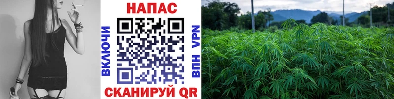 Бошки Шишки Bruce Banner  Купить  Междуреченск 